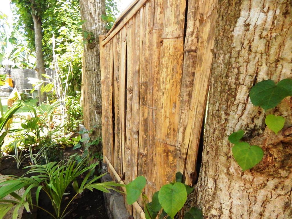 Sudi Guest House Pemuteran Exterior foto
